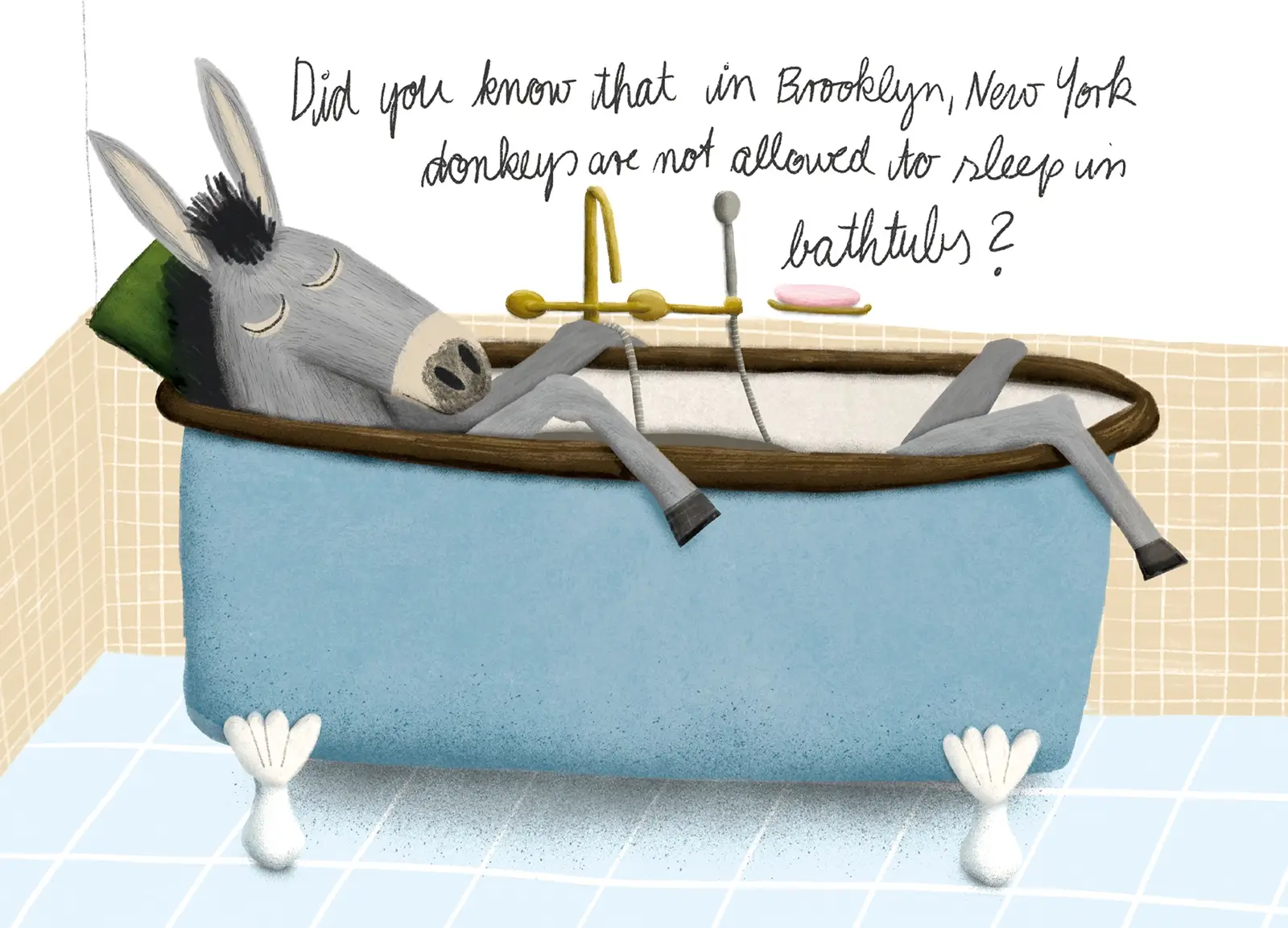 Donkey-in-a-bathtub-Postkarte